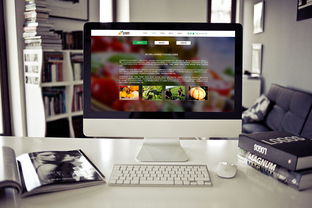 食品公司網(wǎng)頁設(shè)計(jì)與廣告設(shè)計(jì)的融合 打造品牌吸引力與用戶體驗(yàn)