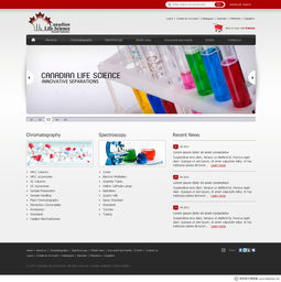 加拿大WebDesignerPS網頁設計作品集（四） 創新、簡約與用戶體驗的完美融合