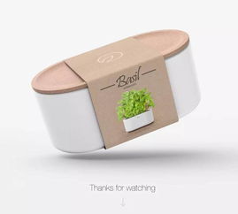 軟木藝術(shù) 文藝新風(fēng)尚與文化交融的橋梁